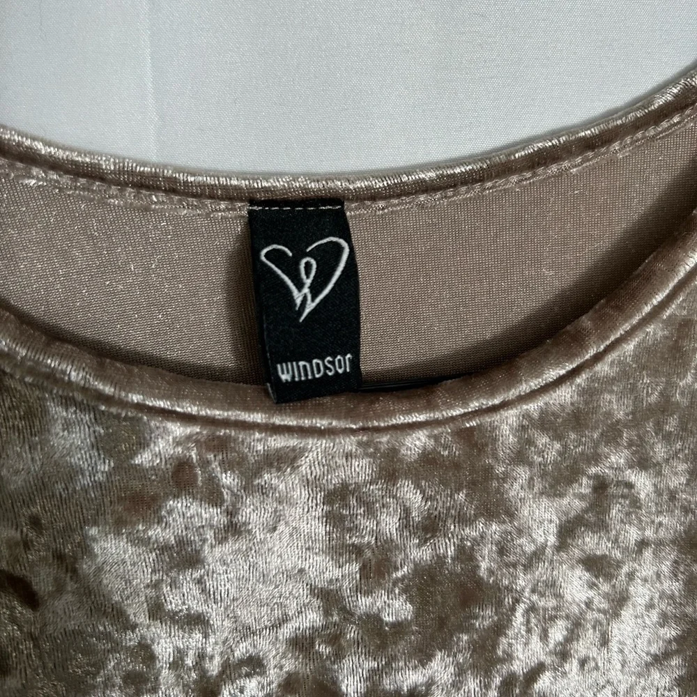 Windsor Champagne Velvet Long Sleeve Mini Dress - Picture 3 of 3